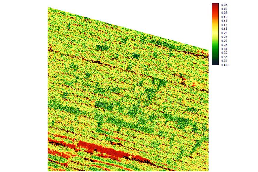 Vegetation index and weed detection